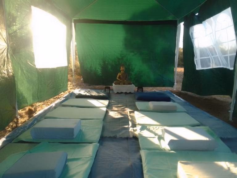 Saraṇa Vana’s first Dhamma hall
